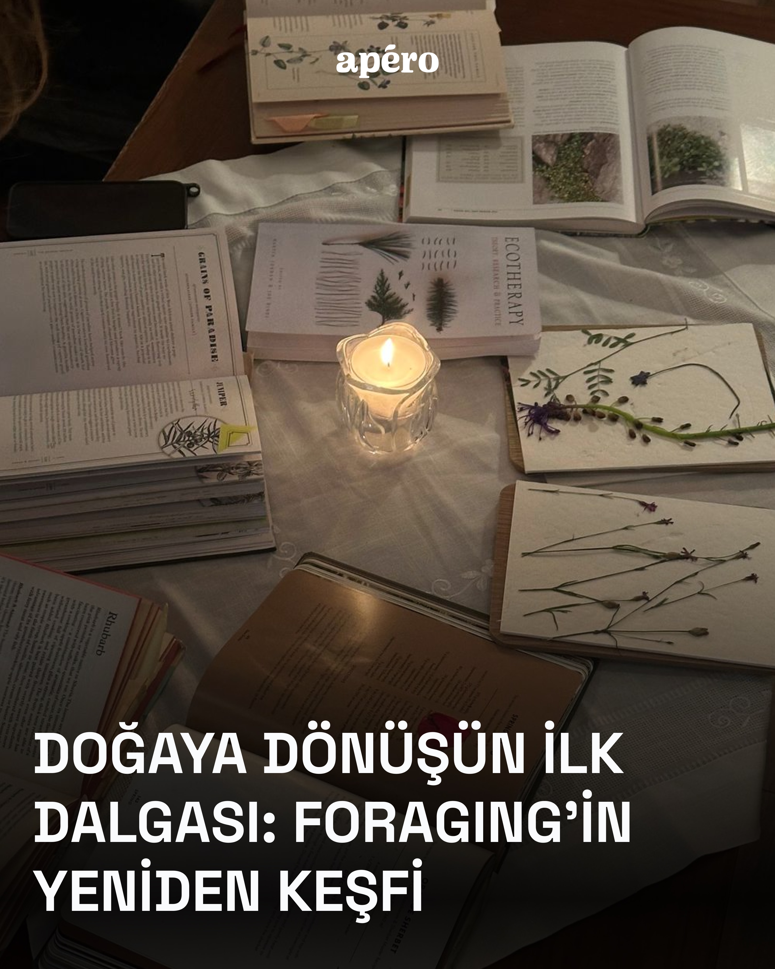 Bir zamanlar bir hayatta kalma becerisi olan foraging, bugün fine dining’in, we…