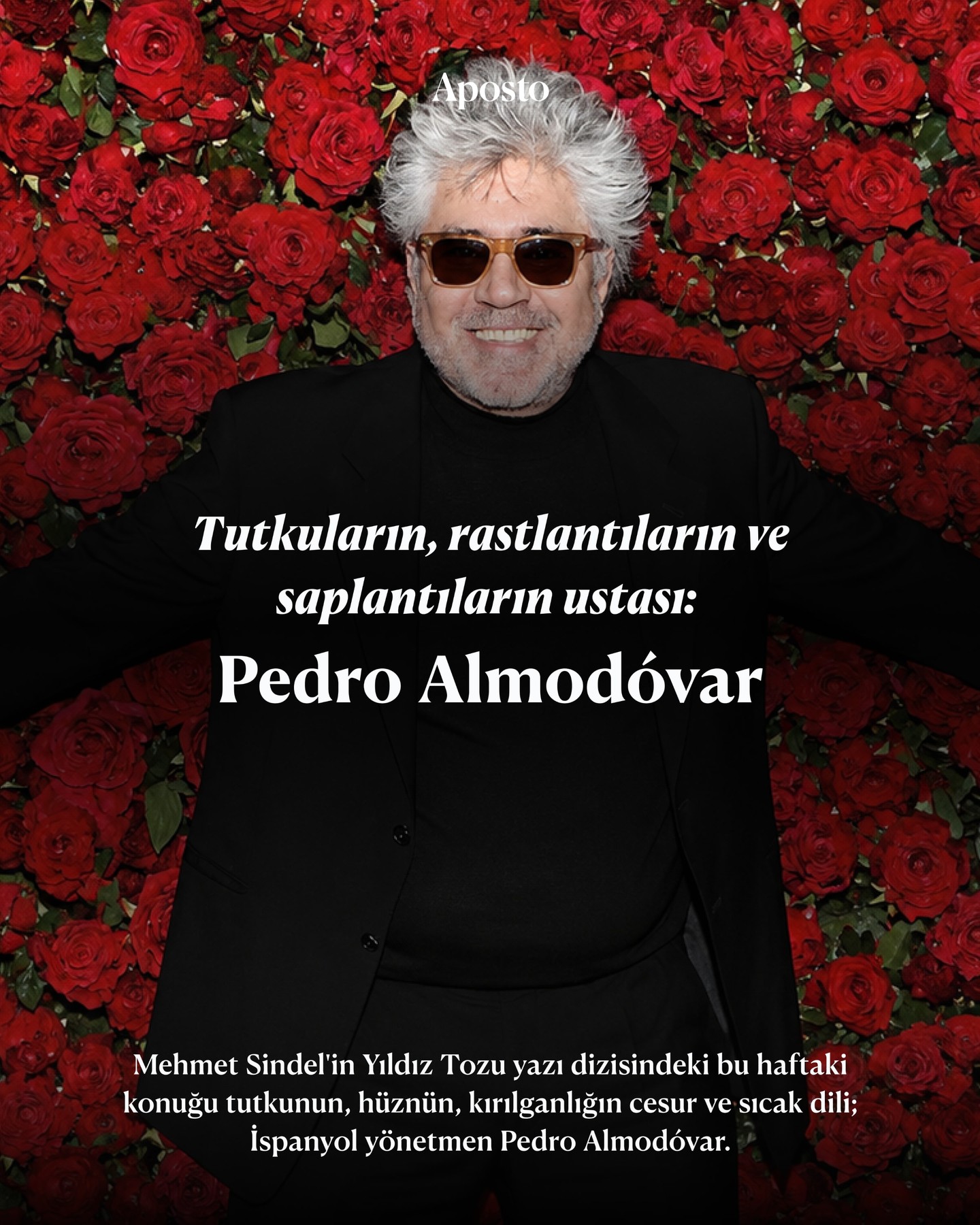 Almodóvar’ın son filmi Bitter Christmas, pek yakında sinemalarda bizimle buluşa…