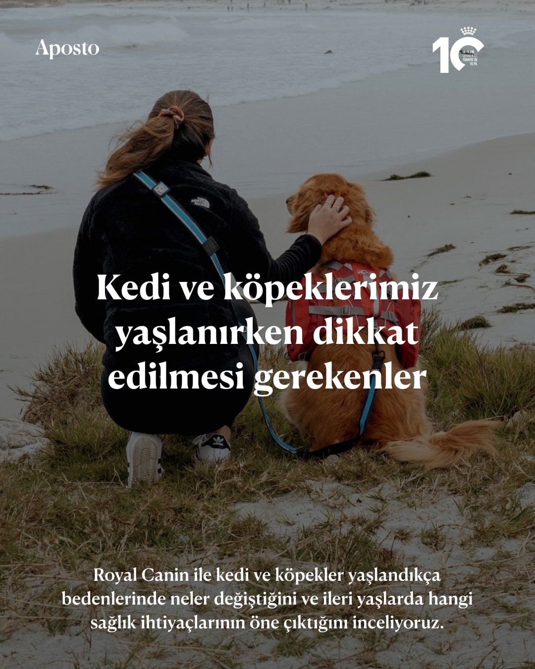 Royal Canin, Türkiye’deki 10. yılına özel hayata geçirdiği 10. Yıl Deneyim Evi…